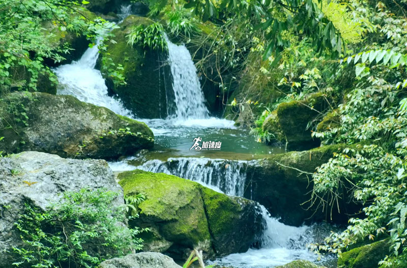 大(da)邑龍窩子(zi) (14).jpg